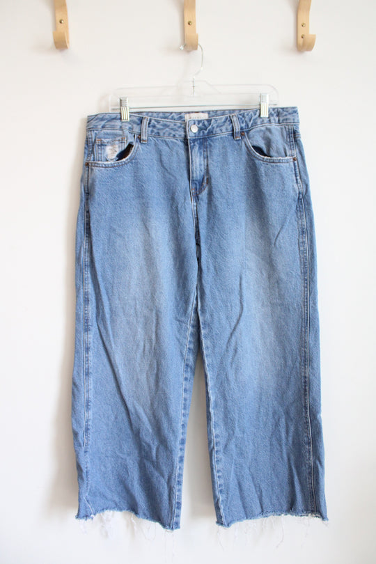 Pacsun Casey Low Rise Baggy Jeans | 30