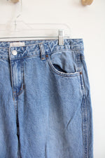 Pacsun Casey Low Rise Baggy Jeans | 30