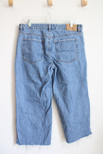 Pacsun Casey Low Rise Baggy Jeans | 30