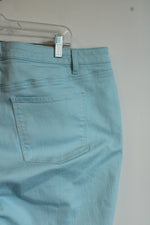 Talbots Baby Blue Slim Ankle Jeans | 20W