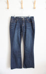 Express Stella Regular Fit Low Rise Boot Jeans | 12
