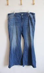 Torrid Blue Denim Jeans | 22T