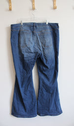 Torrid Blue Denim Jeans | 22T