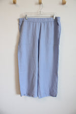 J.Jill Light Blue Linen Blend Wide Leg Pants | M