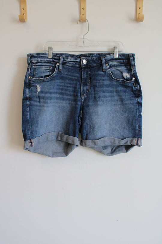 Silver Jeans co. Denim Shorts | 16