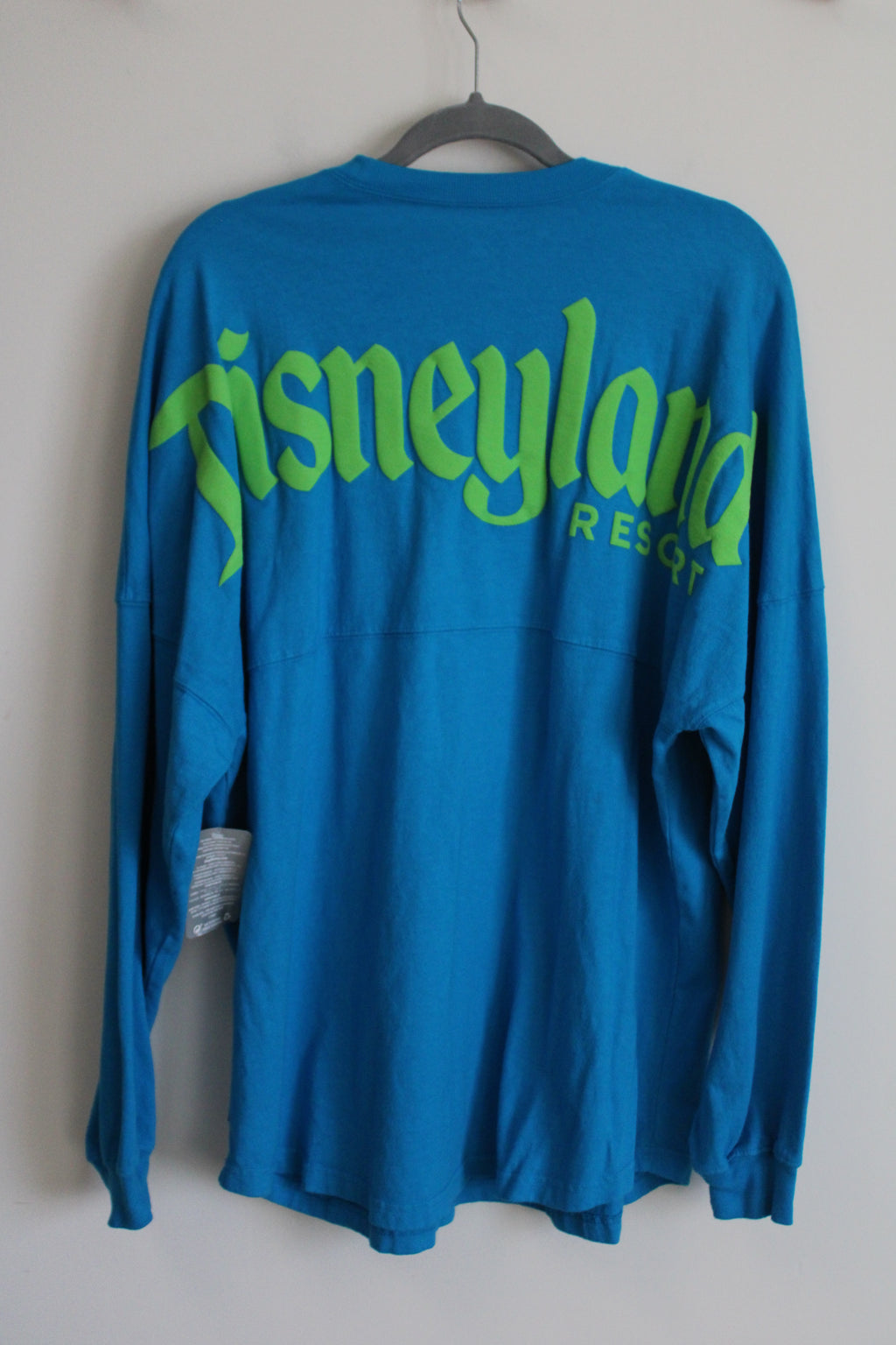 NEW Disney Disneyland Spirit Jersey | L