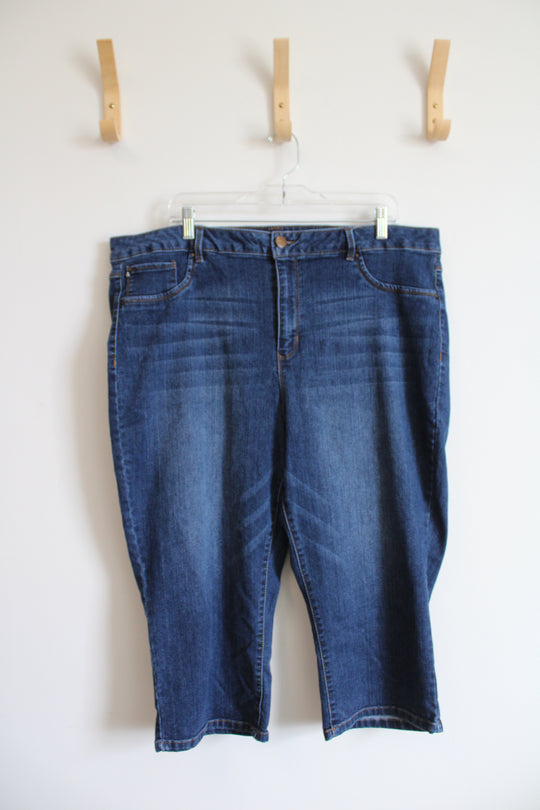 D. Jeans Capri Jeans | 22W