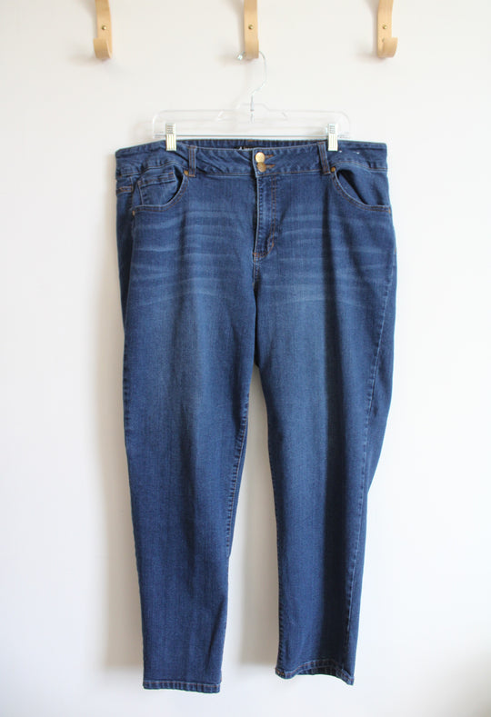 D. Jeans Medium Wash Jeans | 20W