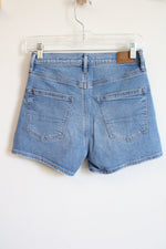 American Eagle Strigid Relaxed Short | 000