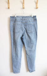 Lane Bryant Distressed Jeans | 16