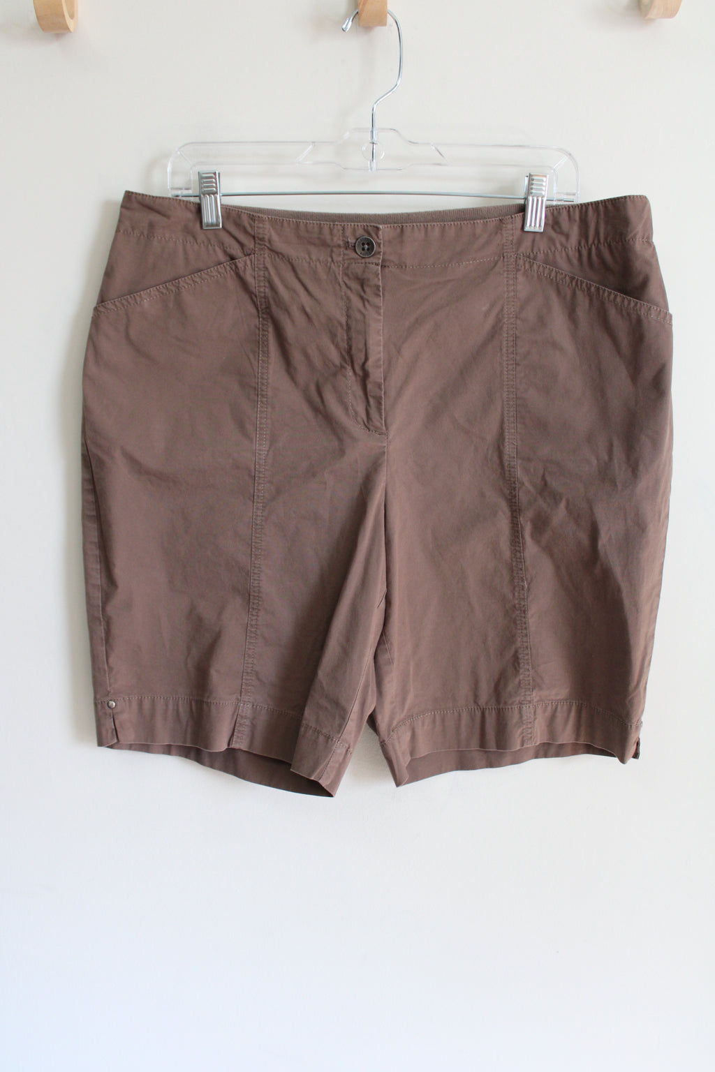 Chico's Brown Shorts | 2.5 (L/14)