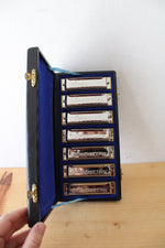 Chicago Blues Complete Harmonica Set