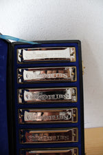 Chicago Blues Complete Harmonica Set