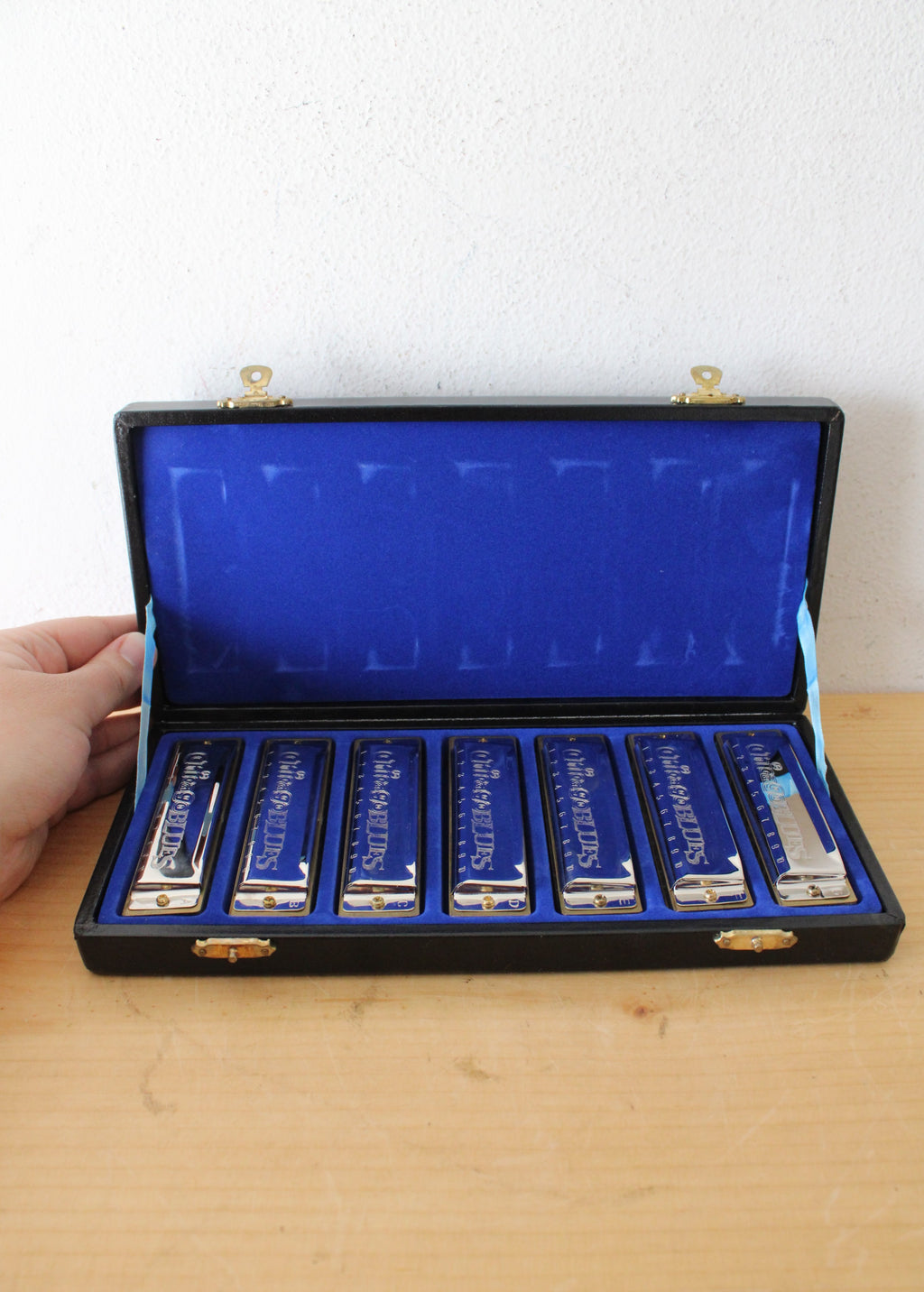 Chicago Blues Complete Harmonica Set