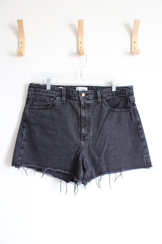 Universal Thread Black High Rise Curvy Shortie Shorts | 16