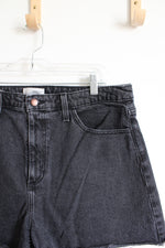 Universal Thread Black High Rise Curvy Shortie Shorts | 16