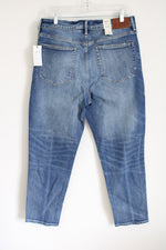 NEW AE77 New York Mom Jean | 12 Standard/31W