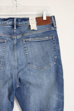 NEW AE77 New York Mom Jean | 12 Standard/31W