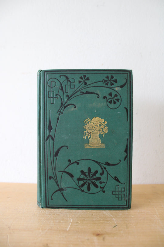 Wood's Object Lessons In Botany By Alfonso Wood PH.D.