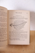 Wood's Object Lessons In Botany By Alfonso Wood PH.D.