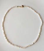 Freshwater Pearl 14K Yellow Gold Clasp Necklace