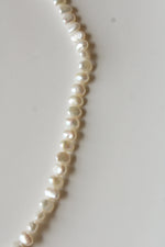 Freshwater Pearl 14K Yellow Gold Clasp Necklace