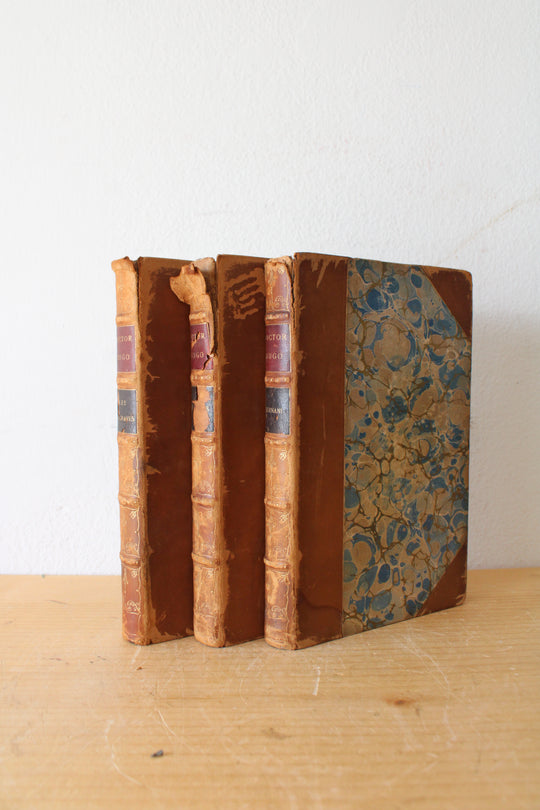 Victor Hugo Les Burgraves, Hernani, Ruy Blas Antique Book Set
