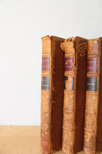 Victor Hugo Les Burgraves, Hernani, Ruy Blas Antique Book Set