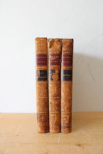 Victor Hugo Les Burgraves, Hernani, Ruy Blas Antique Book Set