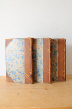 Victor Hugo Les Burgraves, Hernani, Ruy Blas Antique Book Set