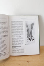 Integrative Manual Therapy For The Upper & Lower Extremities By Sharon Weiselfish-Giammatteo