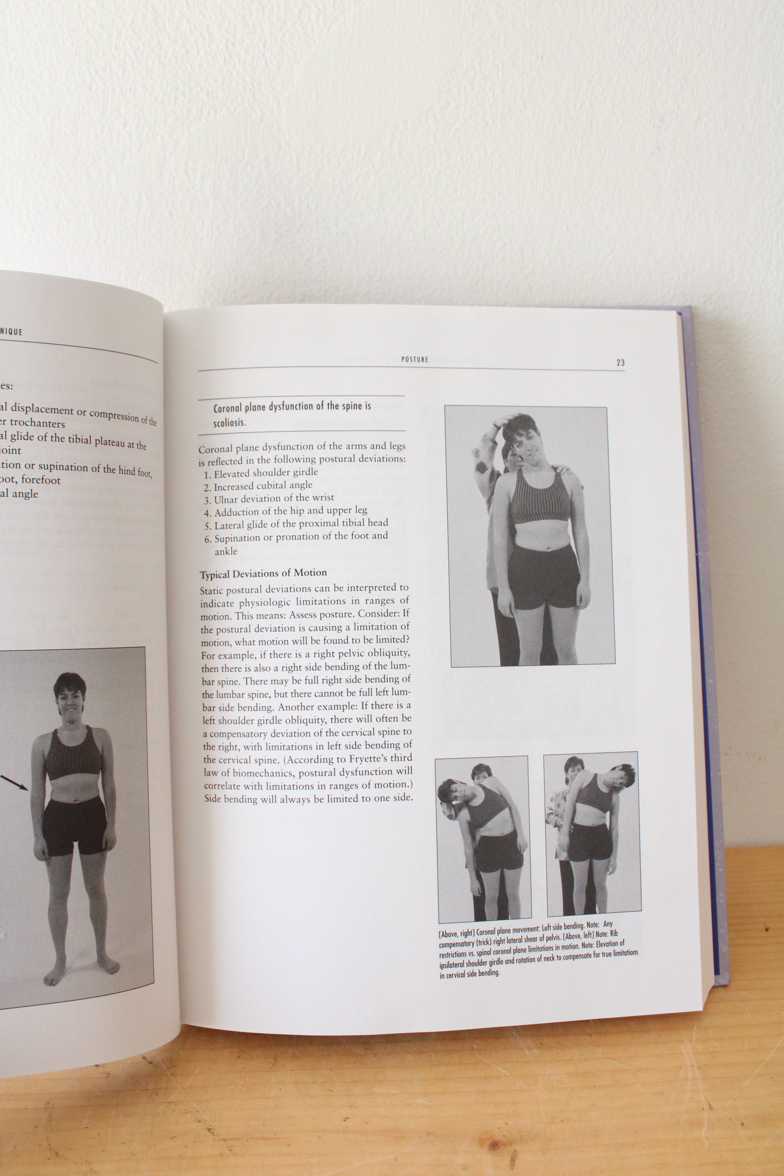 Integrative Manual Therapy For Biomechanics Volume III By Thomas Giammatteo & Sharon (Weiselfish) Giammatteo