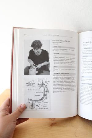 Integrative Manual Therapy For The Autonomic Nervous System & Related Disorders By Thomas Giammatteo & Sharon Weiselfish-Giammatteo