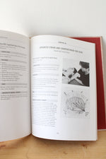 Integrative Manual Therapy For The Autonomic Nervous System & Related Disorders By Thomas Giammatteo & Sharon Weiselfish-Giammatteo