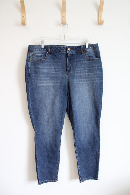 D. Jeans Dark Wash Jeans | 16W