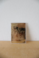 1996 Pippen Rodman World Champions 23KT Genuine Gold Sculptured Trading Card