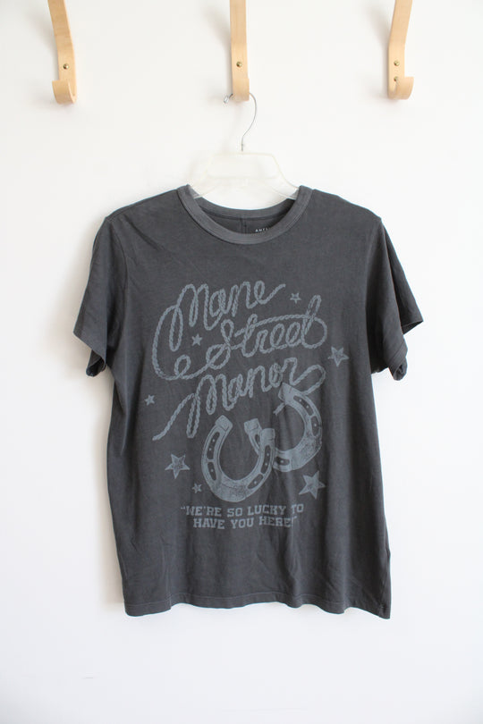American Eagle Gray Western Graphic Tee | XS