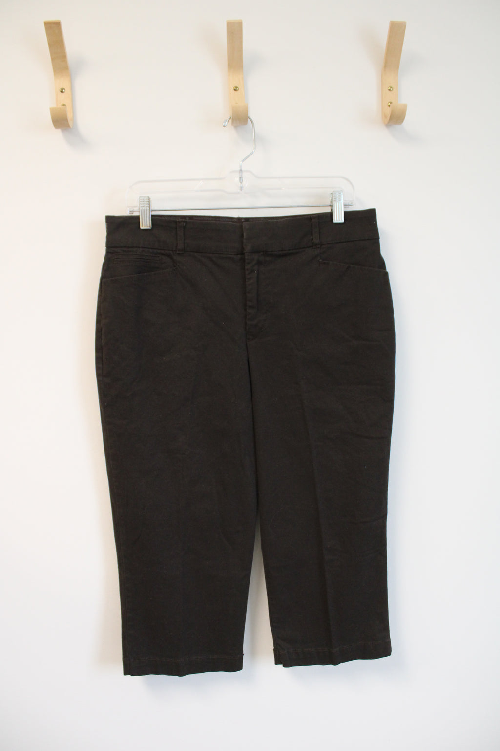 Gloria Vanderbilt Brown Missy Capri Pants | 10