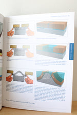 In The Beginning: Compelling Evidence for Creation and the Flood by Walt Brown