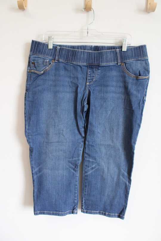 Old Navy Maternity Denim Long Shorts | L