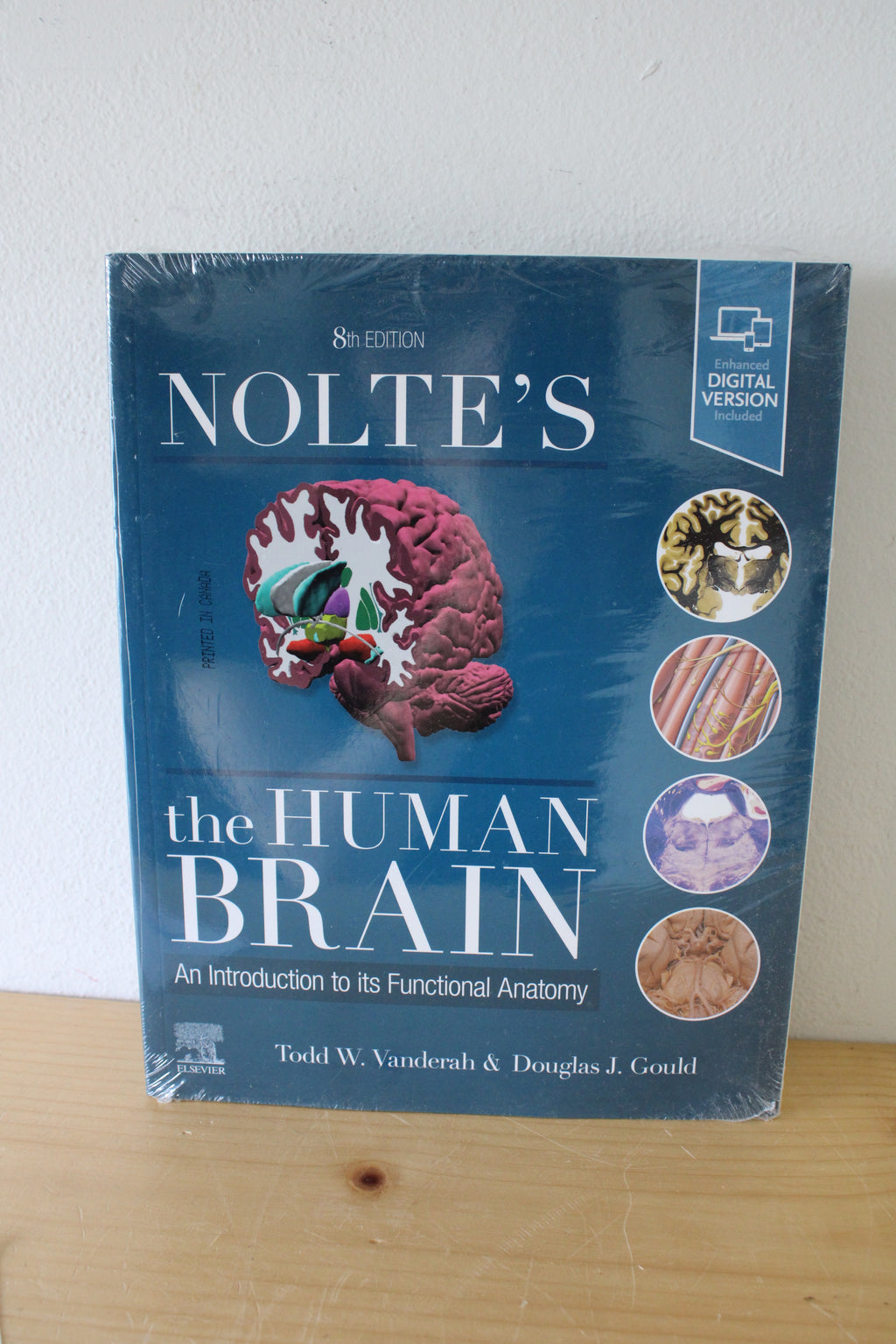 Nolte's The Human Brain: An Introduction To Its Functional Anatomy, 8th Edition, By Todd W. Vanderah & Douglas J. Gould
