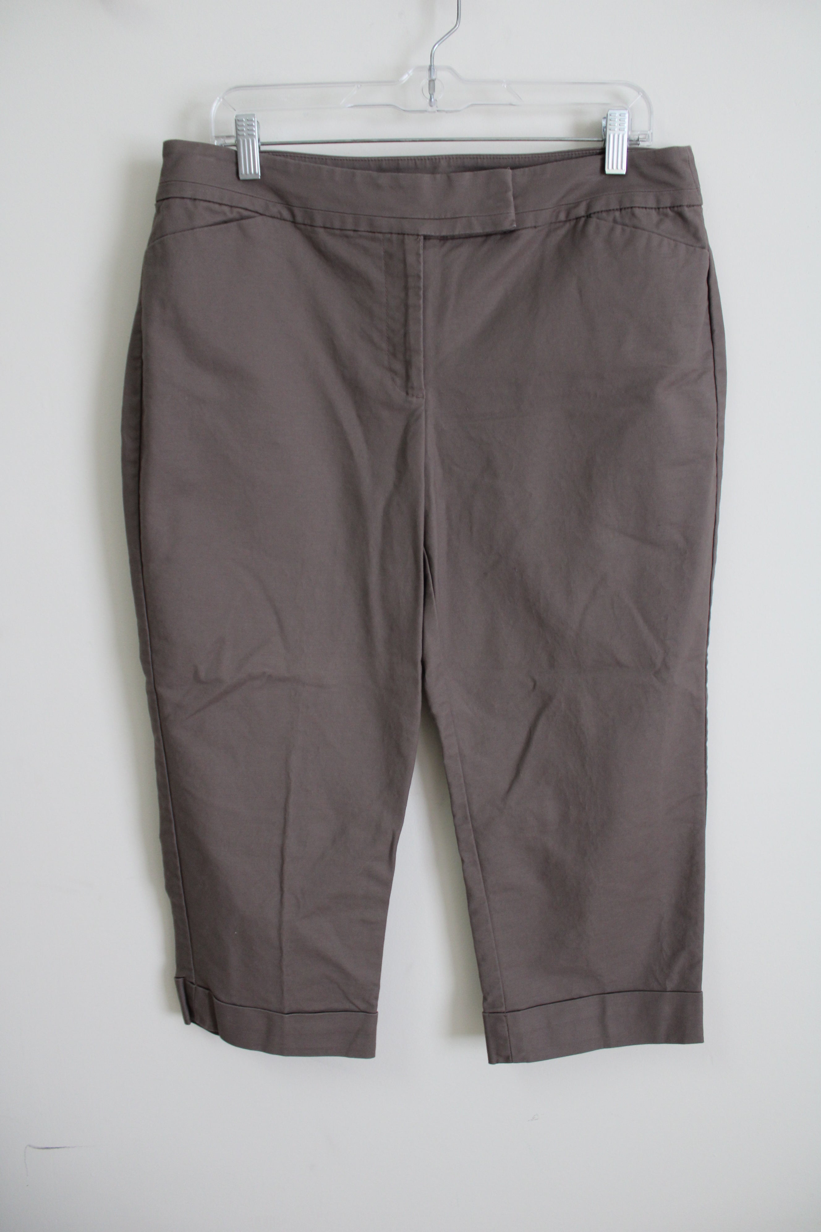 Ann Taylor Curvy Brown Capri | 12