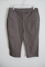 Ann Taylor Curvy Brown Capri | 12
