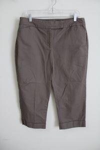 Ann Taylor Curvy Brown Capri | 12