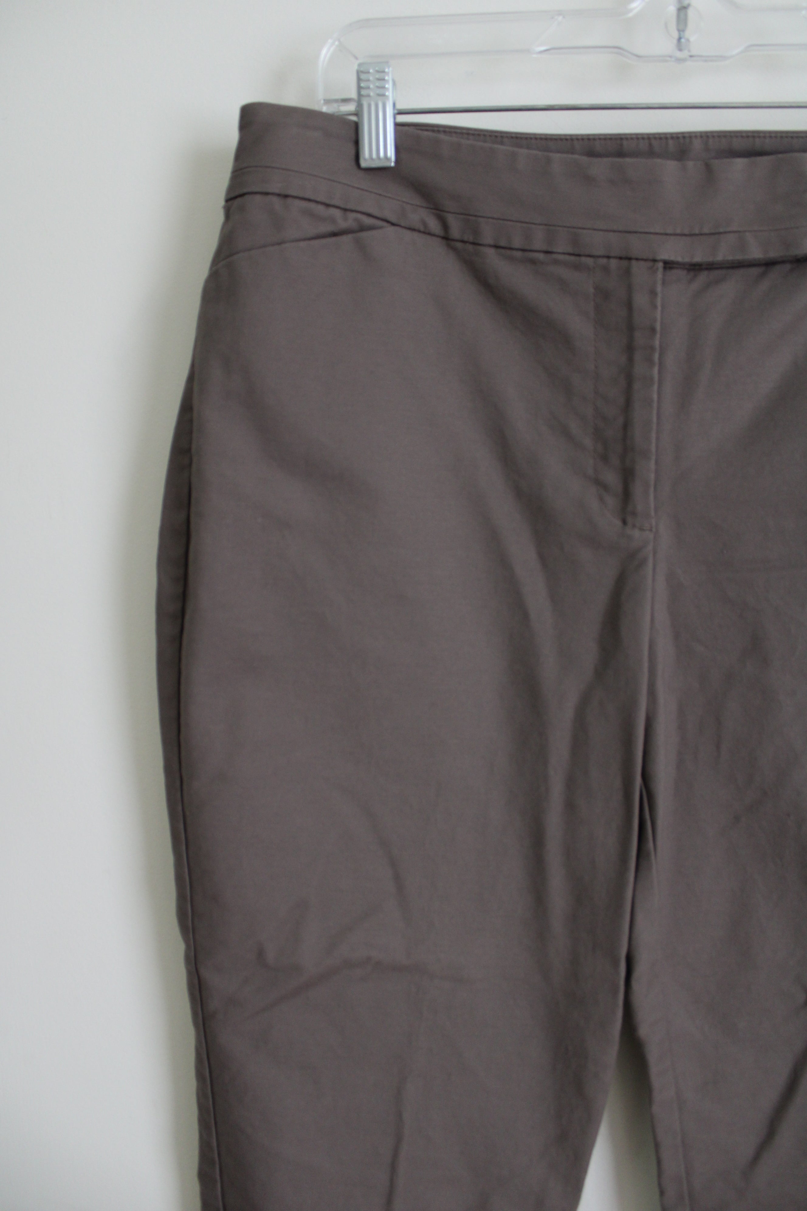 Ann Taylor Curvy Brown Capri | 12