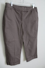 Ann Taylor Curvy Brown Capri | 12