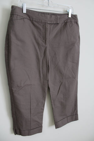 Ann Taylor Curvy Brown Capri | 12