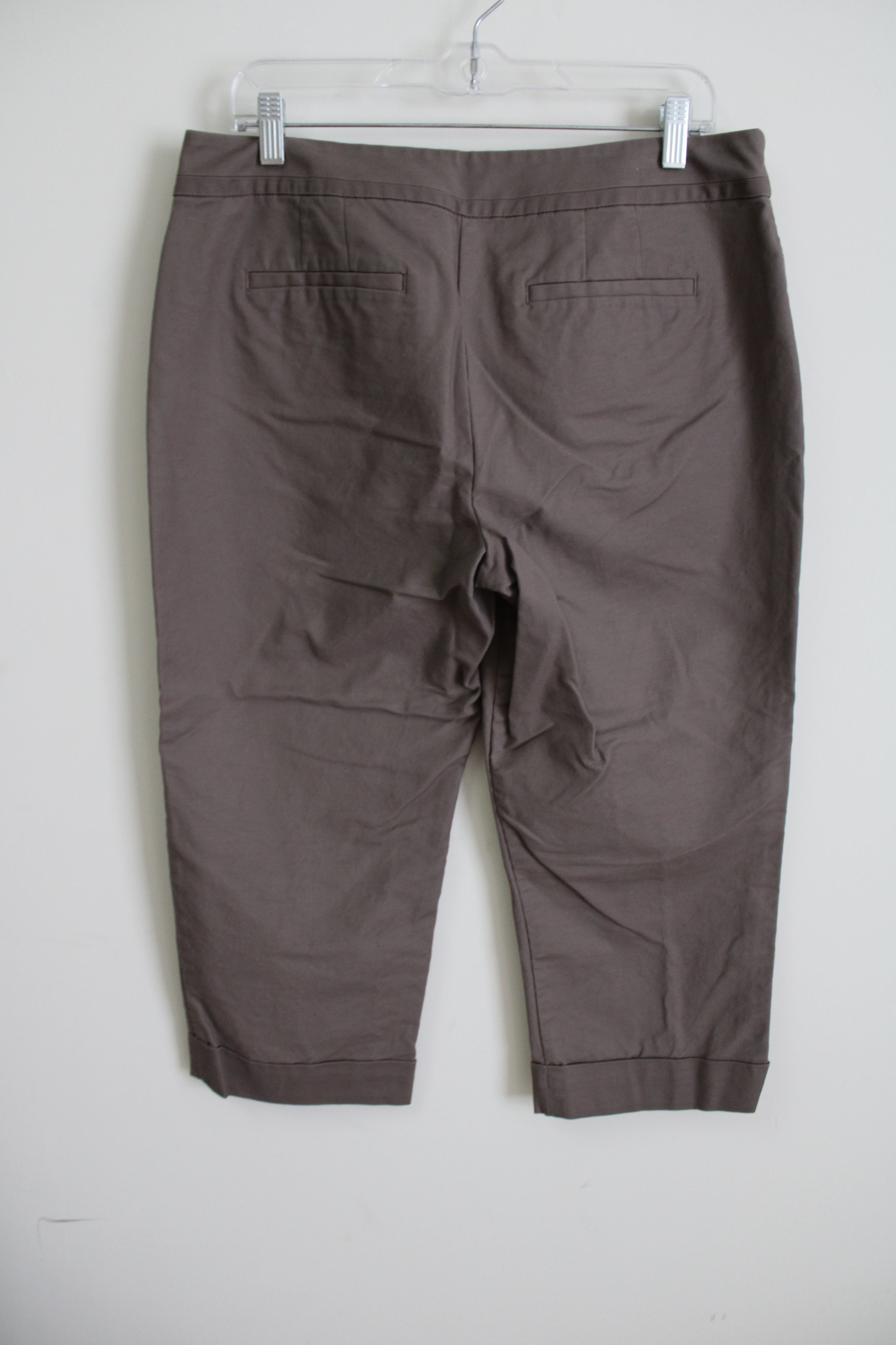 Ann Taylor Curvy Brown Capri | 12