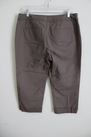 Ann Taylor Curvy Brown Capri | 12