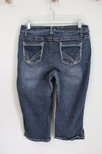 Zanadi Denim Capris | 10